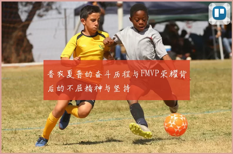 香农夏普的奋斗历程与FMVP荣耀背后的不屈精神与坚持